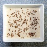 Zeera Raita